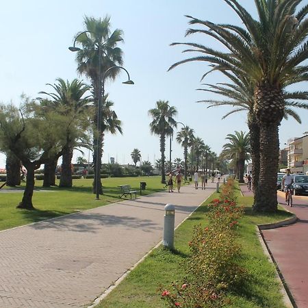 Apartament Casa Rossella Porto SantʼElpidio Zewnętrze zdjęcie